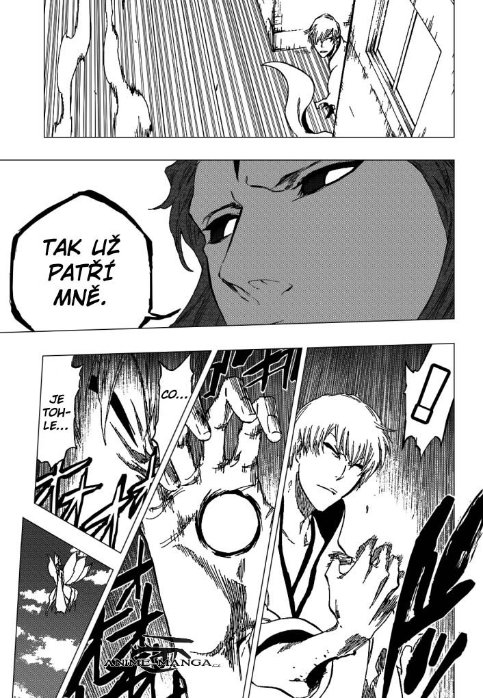 bleach-ch415-15.jpg