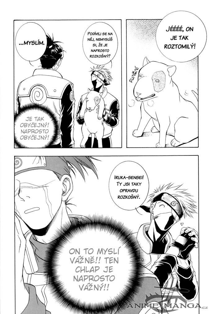 5565_Oneshot_JPWZK_castro-naruto-prt01-016.png