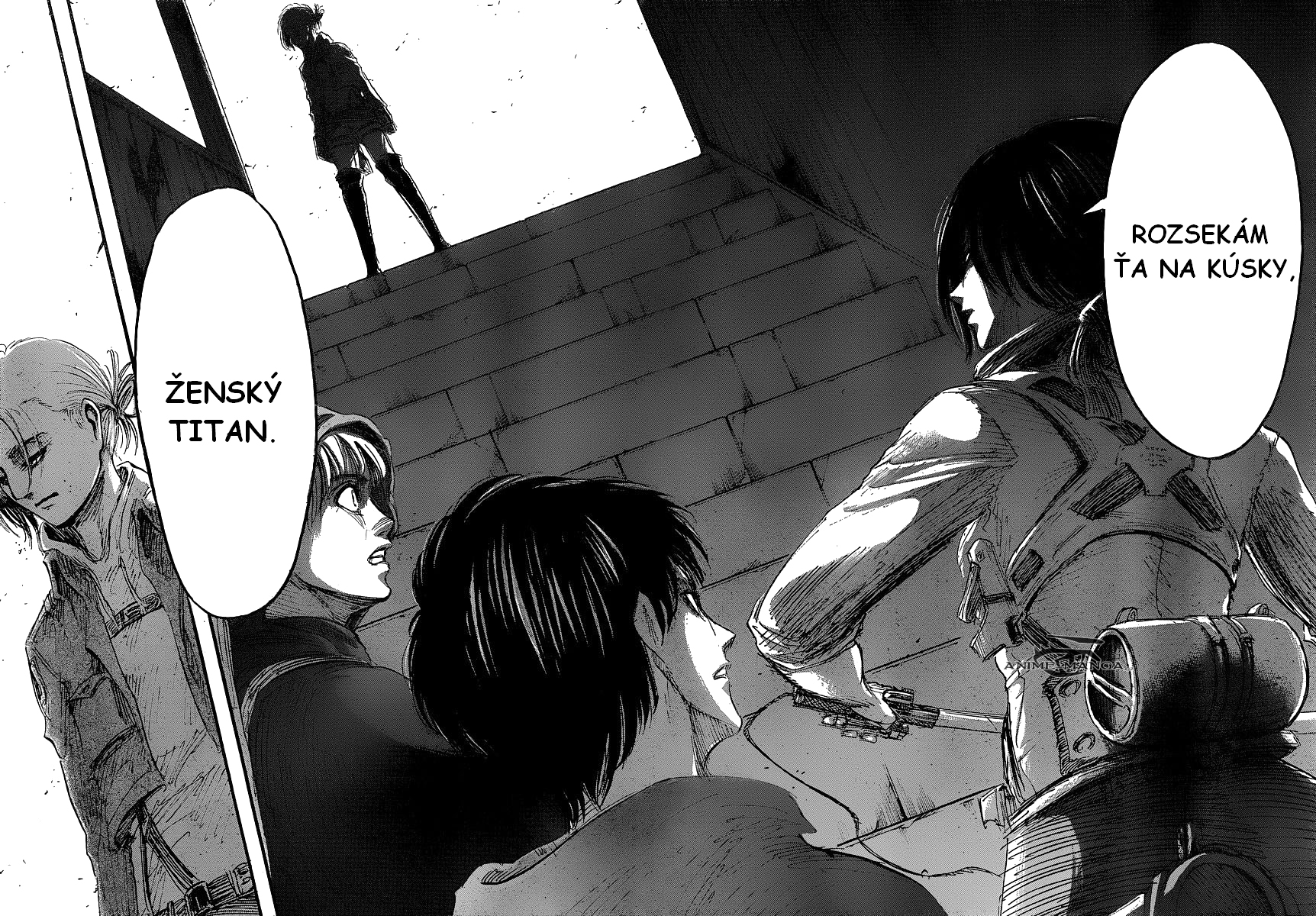 Shingeki_no_Kyojin_ch31_42-43-eng.jpg